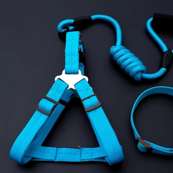 3 Piece, Messsge Me For Colors, Dog harness, collars, and leash set - Picture 6 of 9